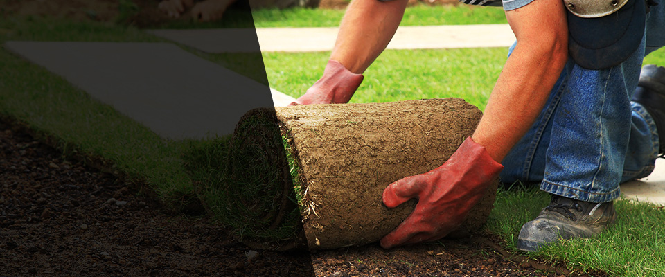 Berryville Landscapers